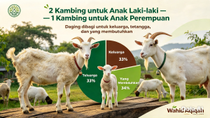 2 Kambing untuk Anak Laki-laki — 1 Kambing untuk Anak Perempuan